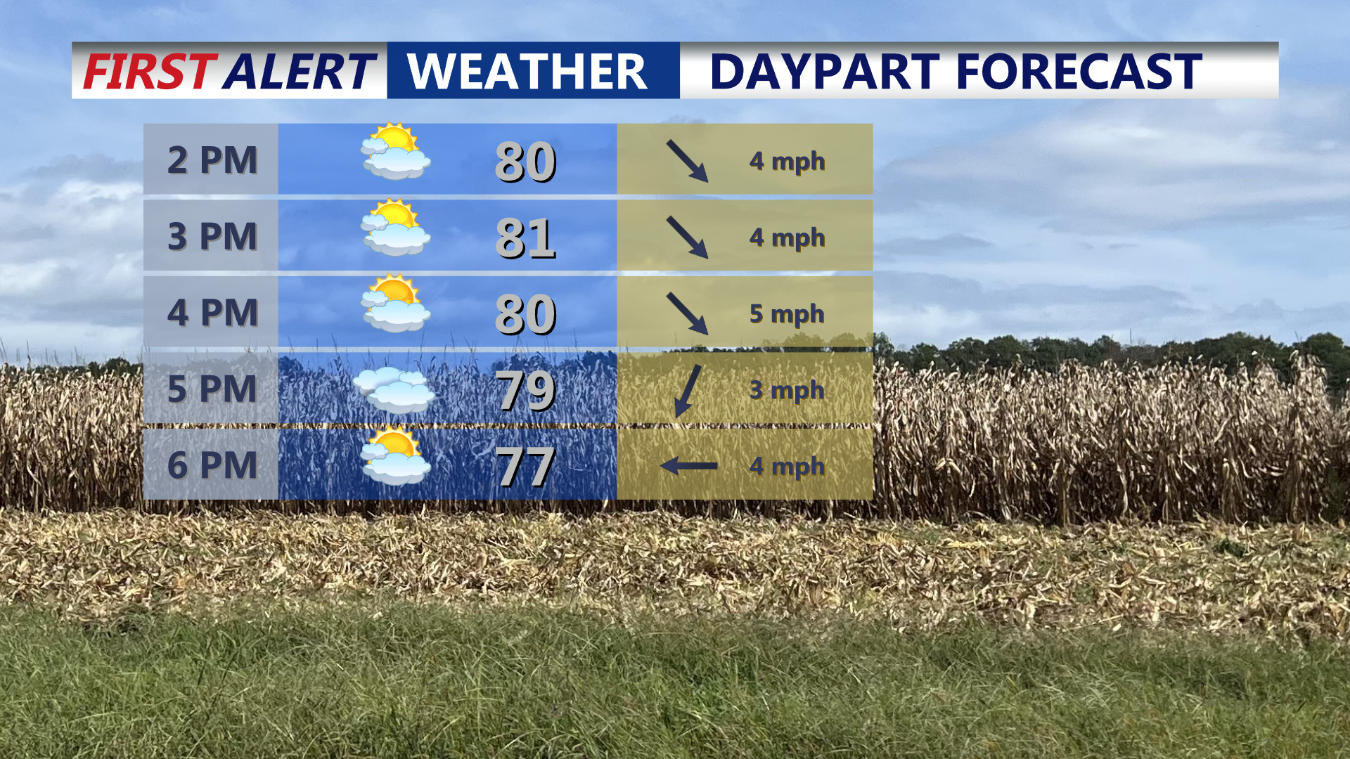 Friday Daypart Forecast